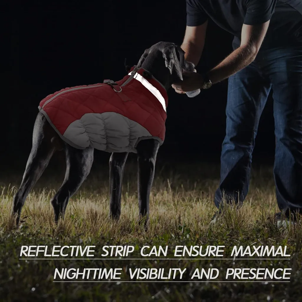 Offerta Cappotto Cane Impermeabile Rosso - Lavabile e Resistente - 5