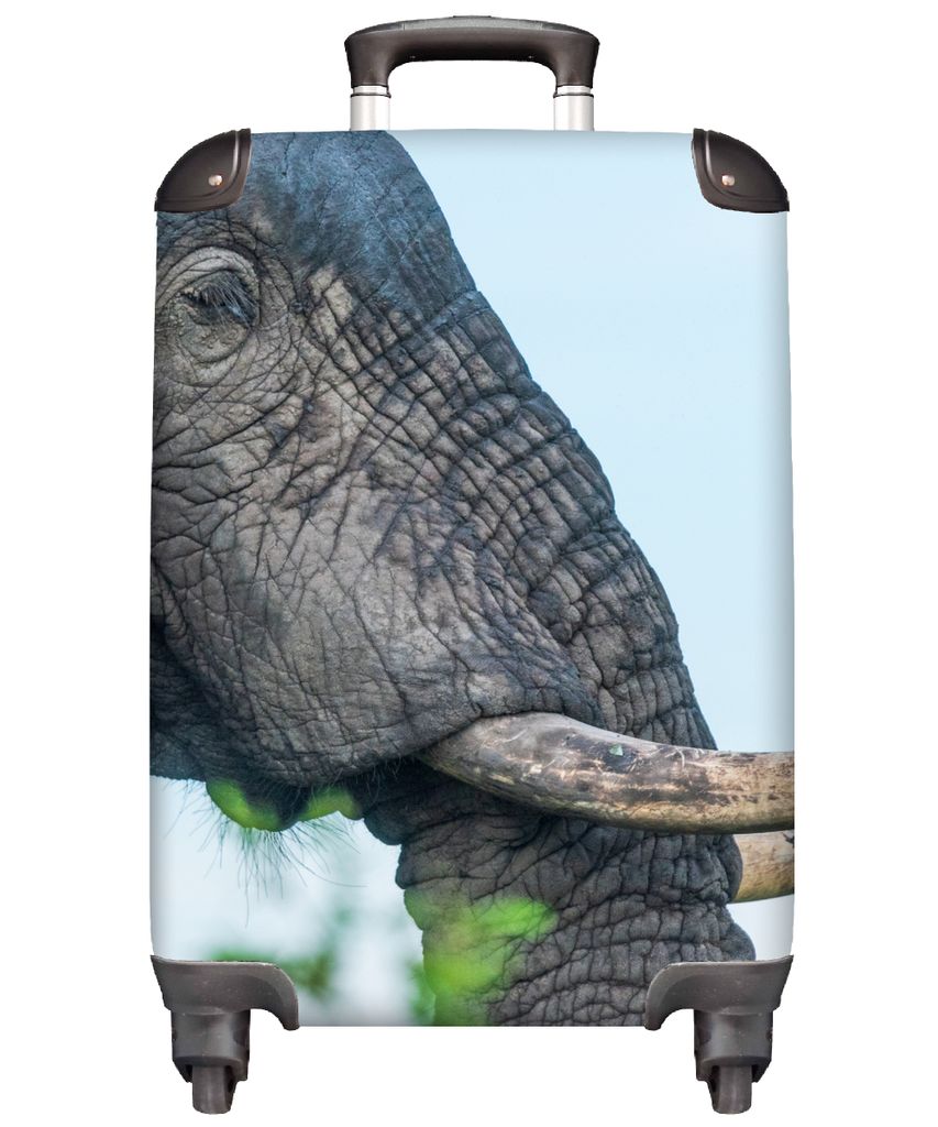 MuchoWow Koffer Handgepäck Trolley Rollkoffer Kleine Reisekoffer mit 4 Rollen - Elefant - Tiere - Grau - Natur - Cabin Size < 55x40x23 cm & 55x4...