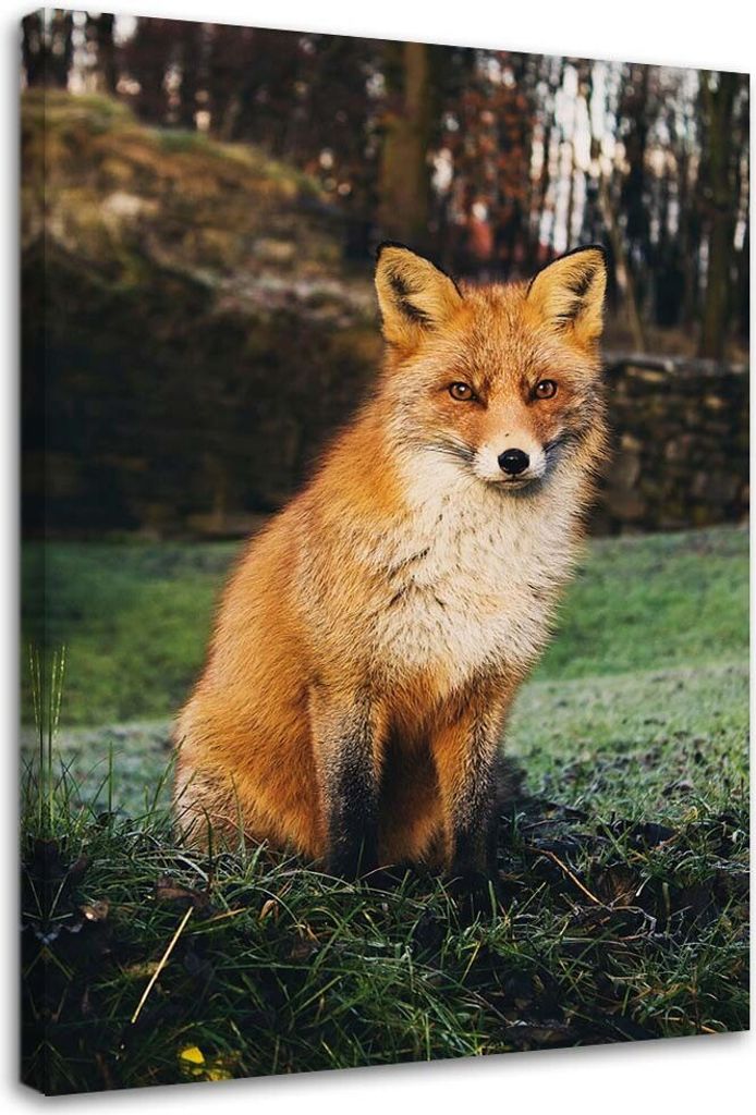 Leinwandbild fuchs im wald 70x100 cm Feeby orange wandbild bereit zum aufhängen