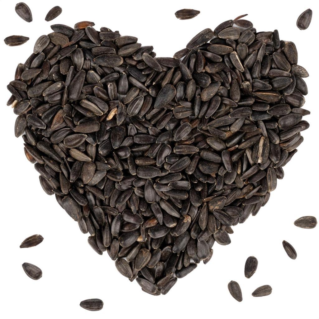 10 kg Sonnenblumenkerne schwarz Wildvogelfutter Vögel Lyra Pet HK Bulgarien