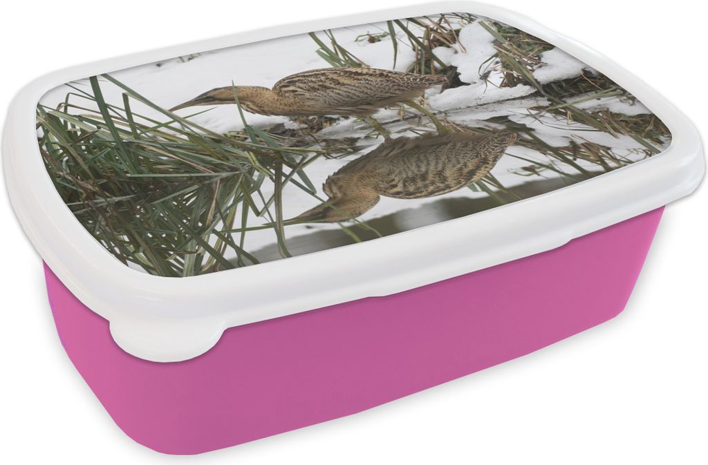 KitchenYeah Lunchbox Brotzeit Brotdose 17x11 cm Rohrdommel auf der Jagd im Wasser Kinder Brotzeitdose - Lunchpaket - Brotkasten - Sandwich Box