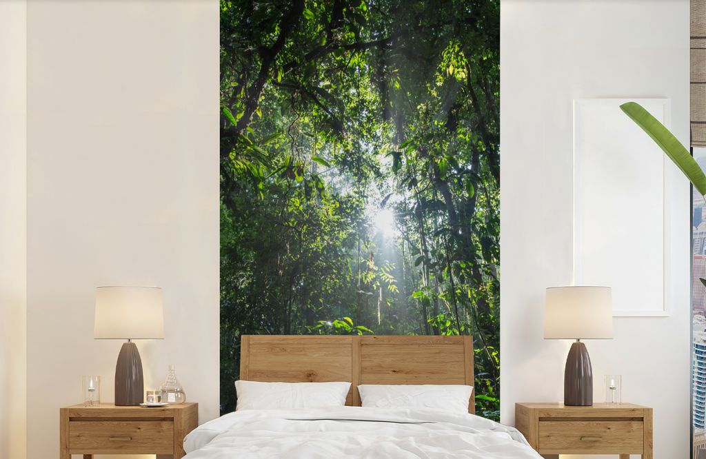 MuchoWow Fototapete für Wohnzimmer oder Schlafzimmer Wandtapete Vinyl Motivtapete Die Sonne bricht durch das Laub, Costa Rica - 120x240 cm - Hin...