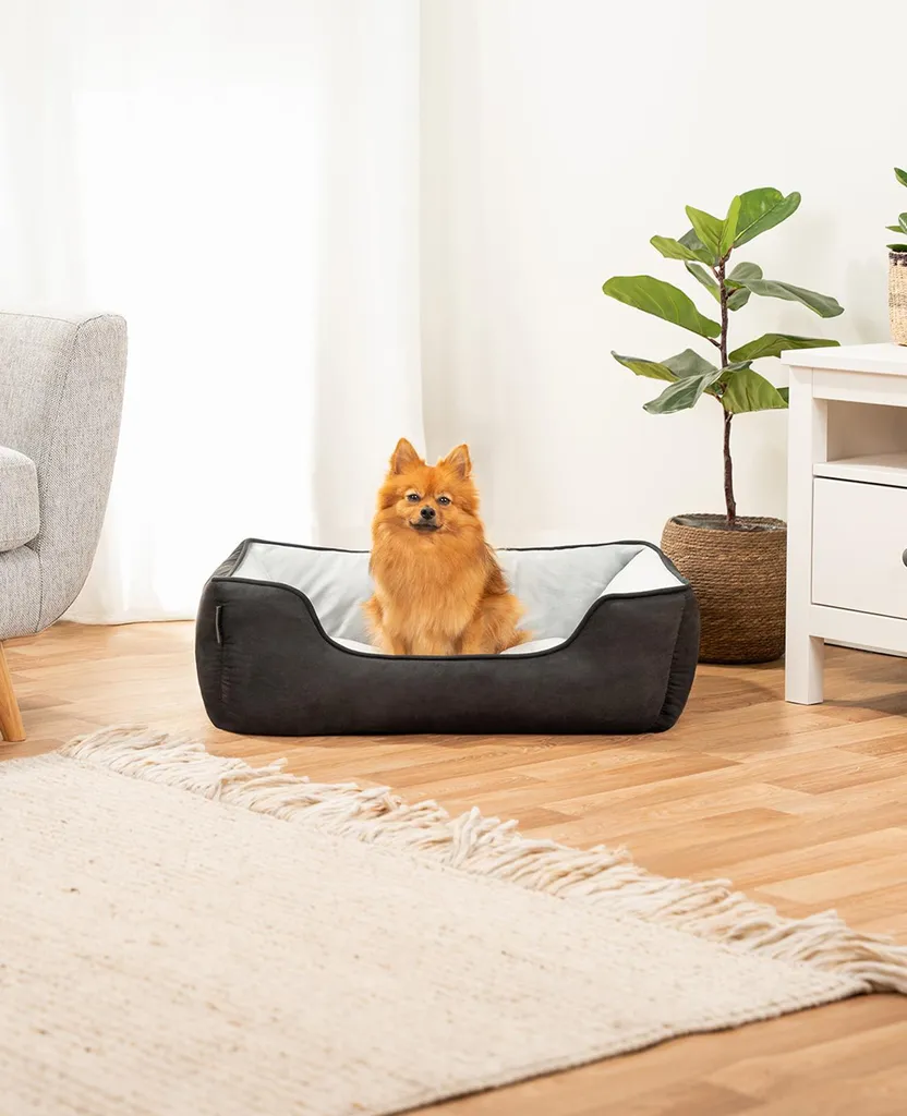 Cuccia Lionto 80x60 cm | Recensione e Prezzo Cesto Reversibile - 2