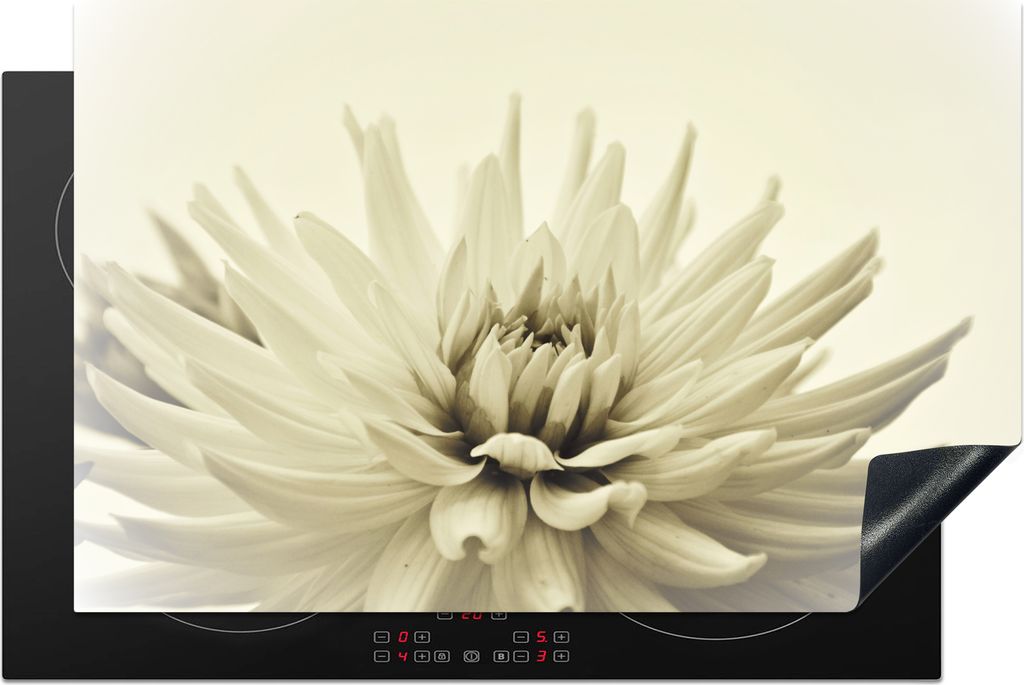 KitchenYeah Herdabdeckplatte Weiße Dahlienblüte Sepia-Fotodruck , 80x52cm, Küche Deko, Glaskeramikfeld Herdabdeckung, Abdeckplatte fùr Kochfeld