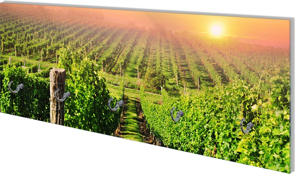 Wallario Flurgarderobe Wandgarderobe aus Glas, mit 5 Haken, Größe 80 x 30 cm, Motiv Weinberg mit untergehender Sonne