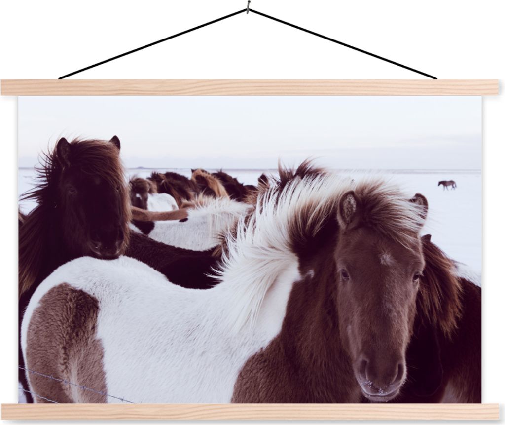 MuchoWow Textilposter Pferde - Schnee - Island 60x40 cm mit holzfarbenen Rahmen - Bilder