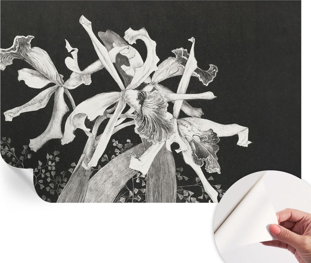 Selbstklebende Wandtapete - Dekorative Tapete für Wohnzimmer - Klebefolie für Wandbilder - Tapetenfolie für Wanddekoration - 104x70 cm - Orchide...