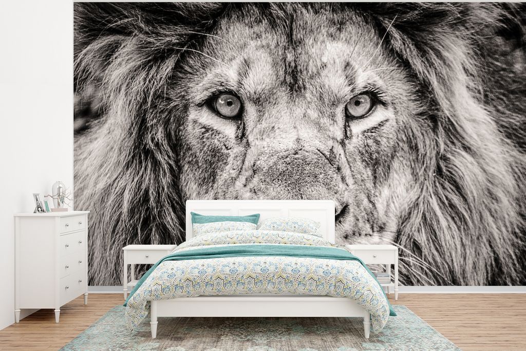MuchoWow Fototapete für Wohnzimmer oder Schlafzimmer Wandtapete Vinyl Motivtapete Löwe - Wild - Schwarz - Weiß - 295x220 cm - Wand Tapete