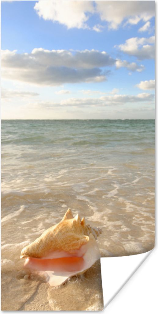 MuchoWow Poster Muschel - Meer - Himmel 40x80 cm - Dekoration