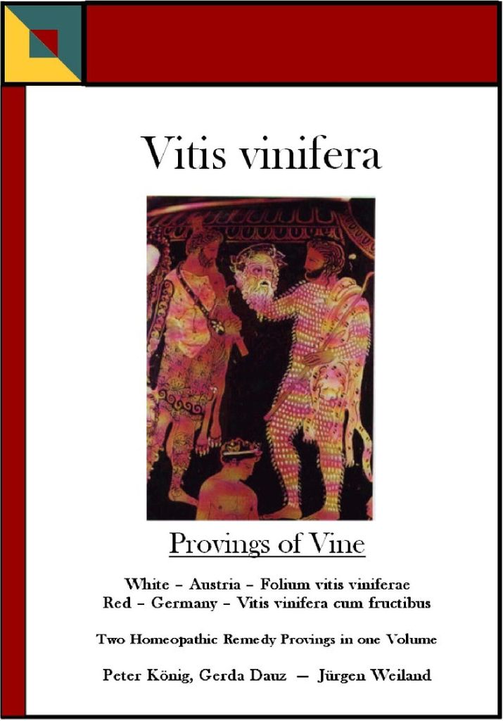 Vitis vinifera - Lebensmittel aus der Rebe