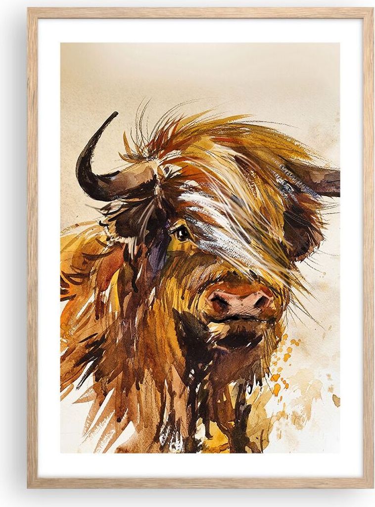 Gerahmtes Poster - Rahmen in heller Eiche - Stier Scotch Aquarell - 50x70 cm - Wand Bild - Wanddeko - Wandbilder - Kunstposter - Wandposter - Bilde...