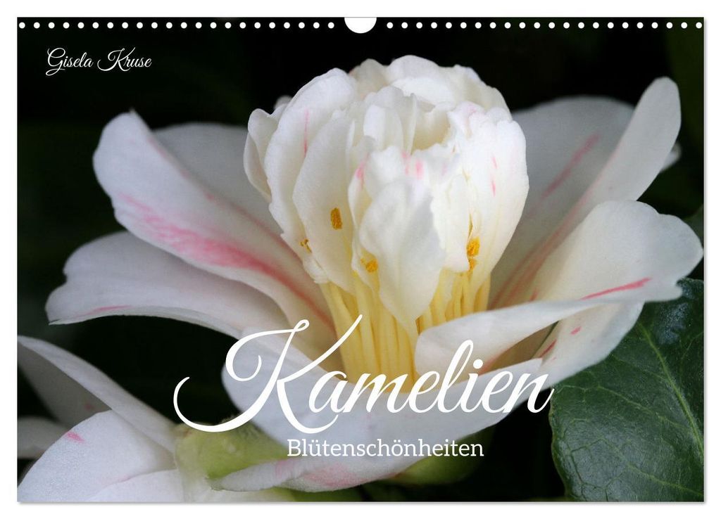 Kamelien - Blütenschönheiten (Wandkalender 2027 DIN A3 quer), CALVENDO Monatskalender