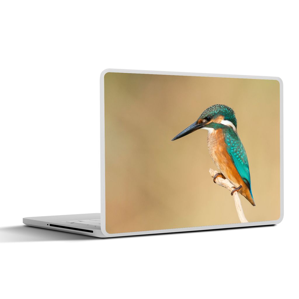 MuchoWow Laptop Aufkleber Sticker Cover Eisvogel - Tiere - Vogel 40x30 cm - Laptop Dekoration - Selbstklebend