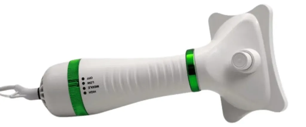 Sèche-poils et Brosse 2-en-1 pour Animaux Vert 26cm Toilettage Rapide
