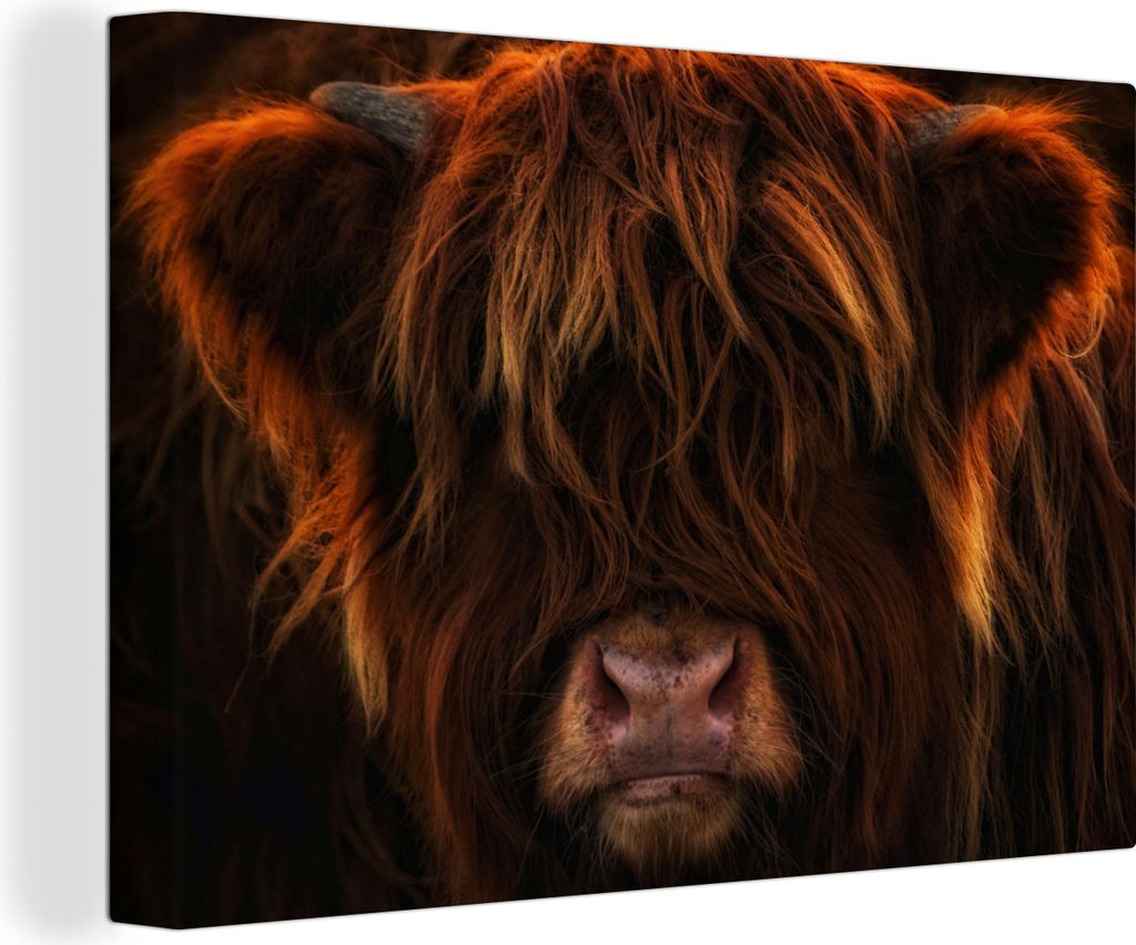 OneMillionCanvasses - Leinwandbilder - 140x90 cm, Schottisches Hochlandrind - Kuh - Schwarz - Porträt, Wandbilder Wohnzimmer Hochland Rind - Tie...