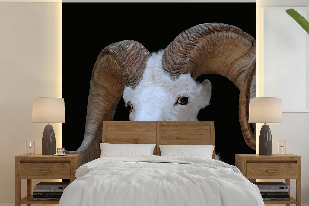MuchoWow Fototapete für Wohnzimmer oder Schlafzimmer Wandtapete Vinyl Motivtapete Bok - Tiere - Hoorn - 300x300 cm - Wanddekoration