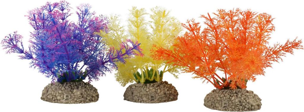 Aqua Della Aquariumpflanze Wasserfeder farbig