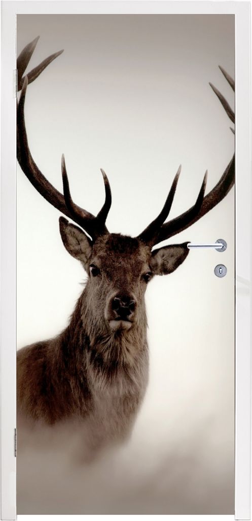 MuchoWow Türtapete Selbstklebende Türfolie Porträt - Hirsch - Geweih 80x215 cm Türposter Türaufkleber Klebefolie Türklebefolie - Selbstkleb...