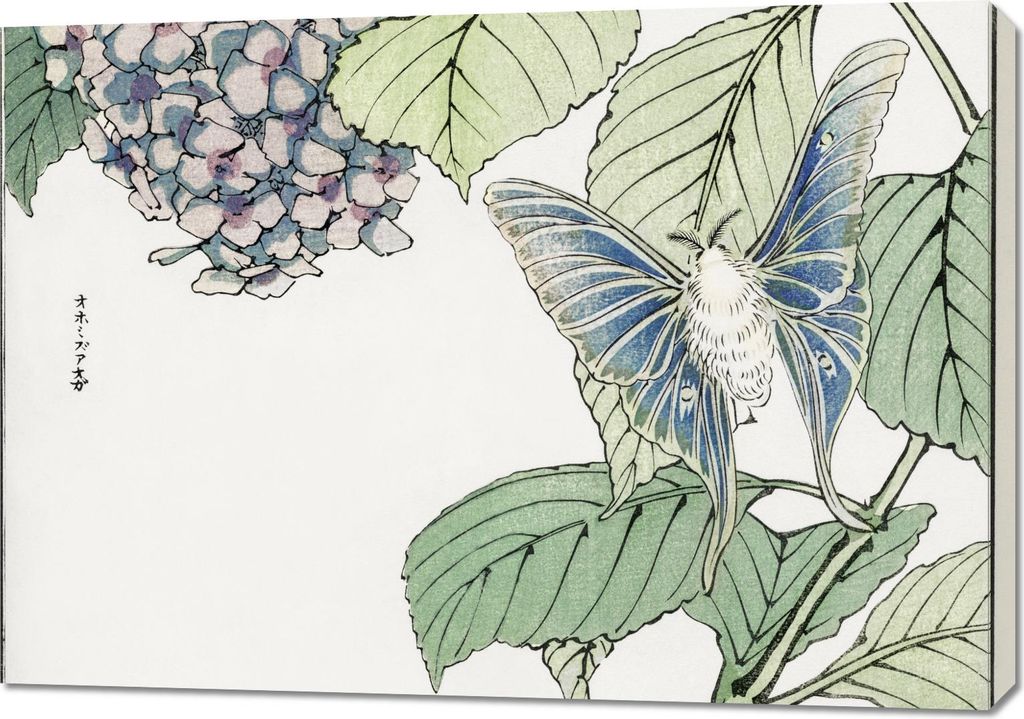 Bild 100x70cm Motte und Pflanzen Morimoto Toko Japanisch Vintage für das Wohnzimmer