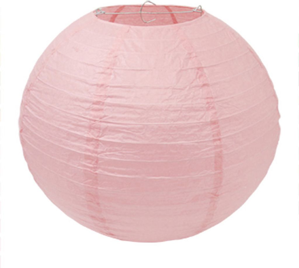 rosa Lampion