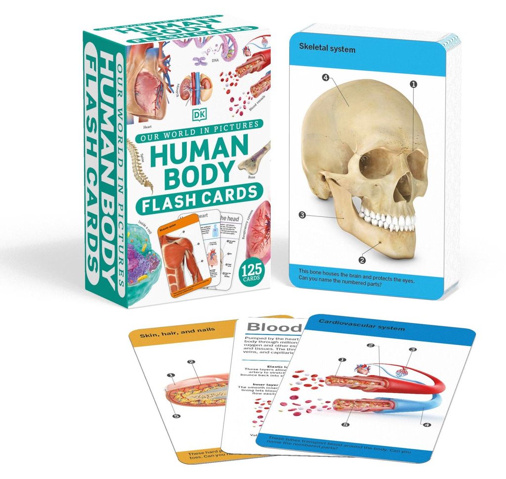 Our World in Pictures Human Body Flash Cards