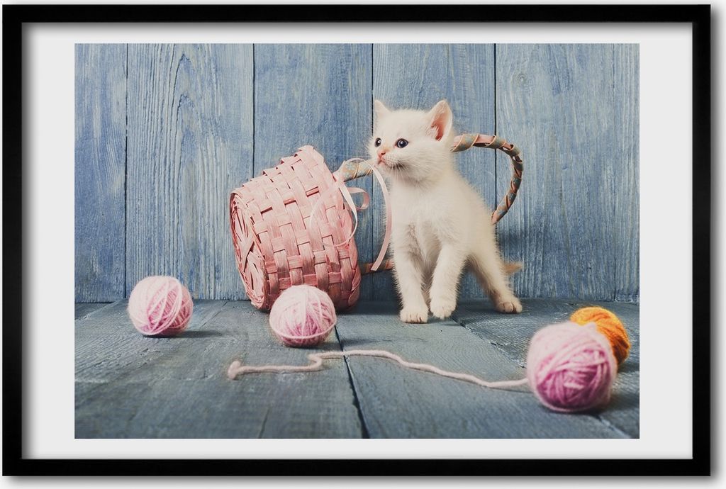 Bild 60x40 MDF-Rahmen, Wandkunst Weiße Katze und Strangen