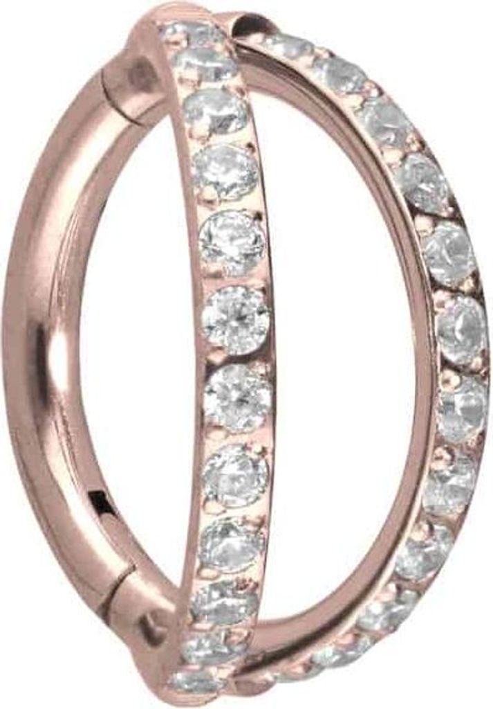 Ohrpiercing, Nasenpiercing, Septum Piercing Titan Segmentring Clicker 2 RINGE + EINGEFASSTE KRISTALLE RoséGold Innendurchmesser: 10 mm