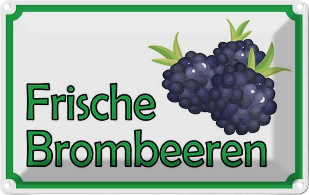 vianmo Blechschild 20x30 cm frische Brombeeren Hofladen Marktstand Laden Obst Gemüse