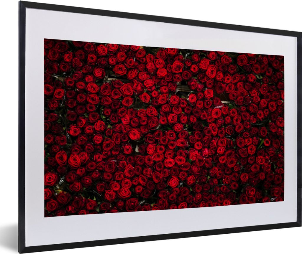 MuchoWow MuchoWow Gerahmtes Poster Blumen - Rosen - Rot 60x40 cm - Poster mit zchwarzem Bilderrahmen - Schlafzimmer - Plakat in Rahmen - Drucken