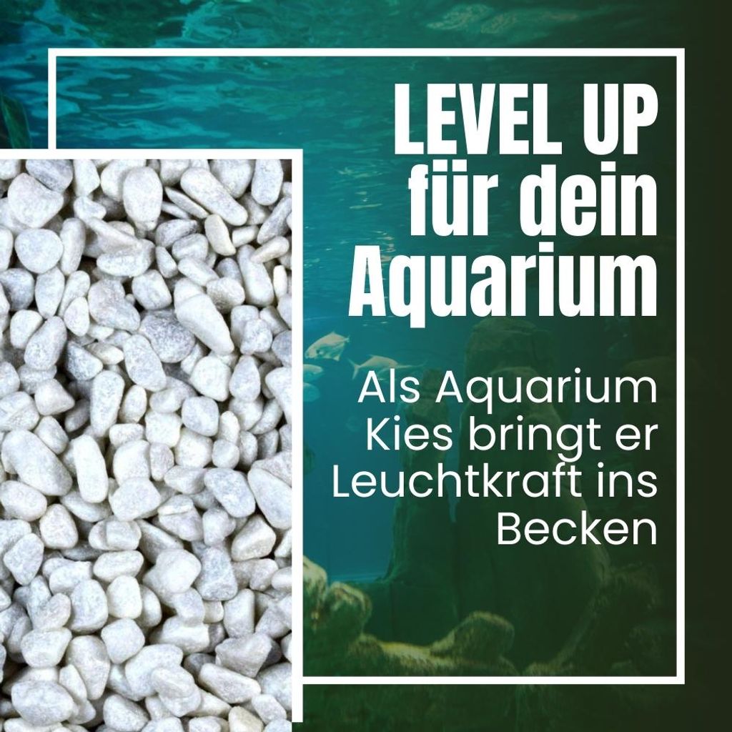 Dekoration Vasen Weißer Kies – 2 Kg Beutel, Dekosteine 8–12 Mm, Reinweiß, Für Blumentöpfe, Vasen, Innen- & Außendeko, Als Eleganter Zierkies Für Pflanzen & Arrangements