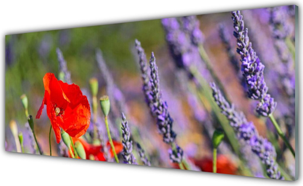 Küchenrückwand aus Glas 125x50cm Spritzschutz Blumen Pflanzen
