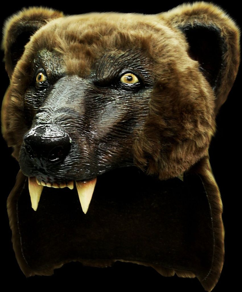 Braunbä r Kopf Accessoire Einheitsgrö ß e