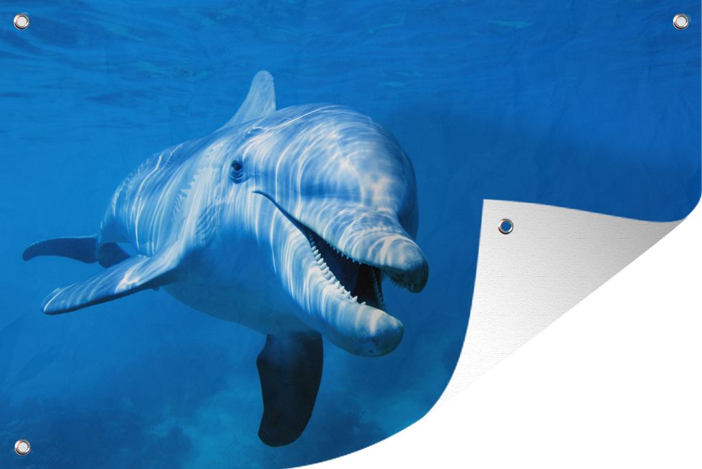 MuchoWow 90x60 cm Outdoor-Poster Gartendeko Sichtschutz Garten Poster für den Garten Delfin - Wasser - Meer