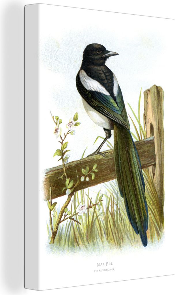OneMillionCanvasses - Leinwandbilder - 90x140 cm, Illustration eines Elsternvogels auf einem Zaun, Wandbilder Kunstdruck Wanddekoration - Foto au...