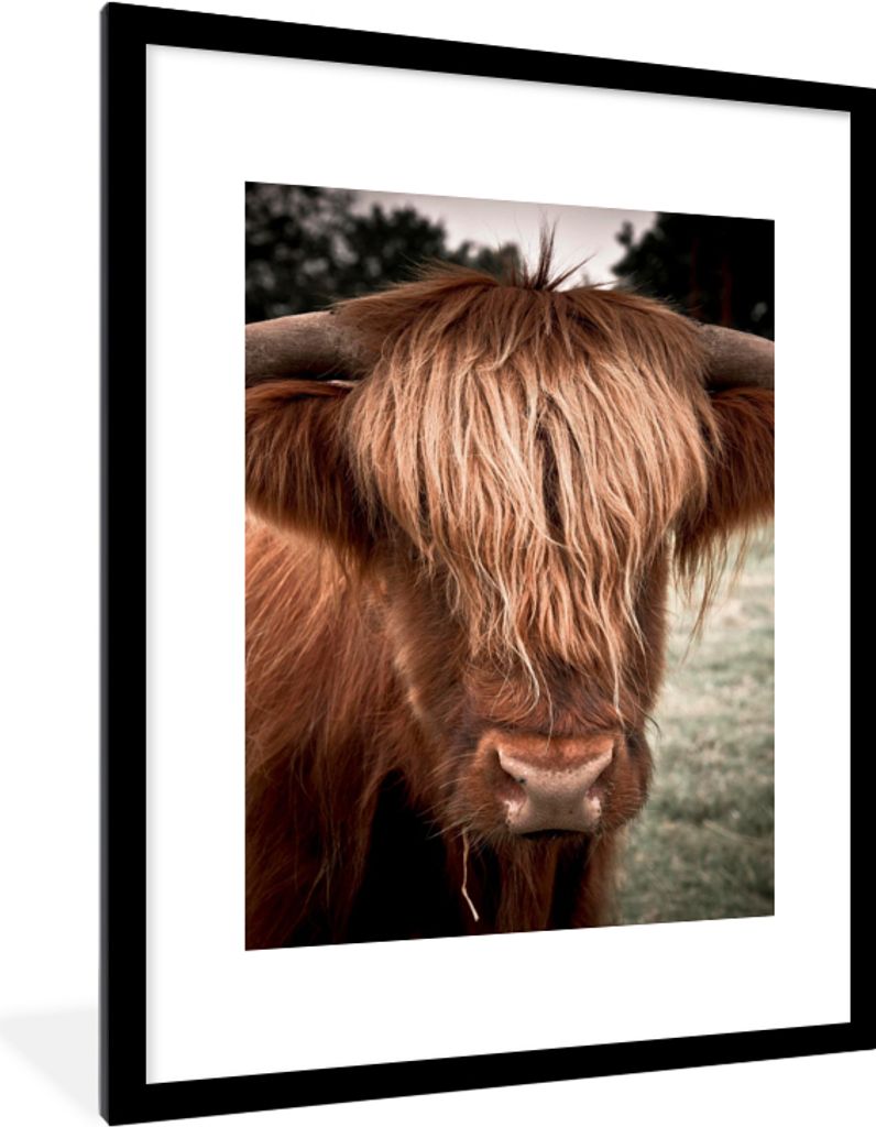 MuchoWow Gerahmtes Poster Schottischer Highlander - Baum - Gras 60x80 cm - Poster mit Schwarzem Bilderrahmen Wandposter Rahmen Foto Bilder - Wohn...
