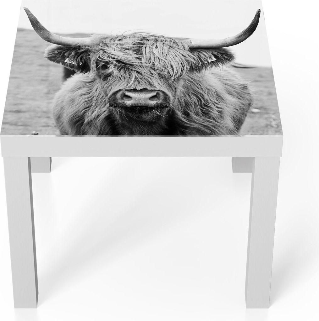 DEQORI Couchtisch 55x55 cm Weiß 'Zotteliges Hochlandrind' Glas Beistelltisch