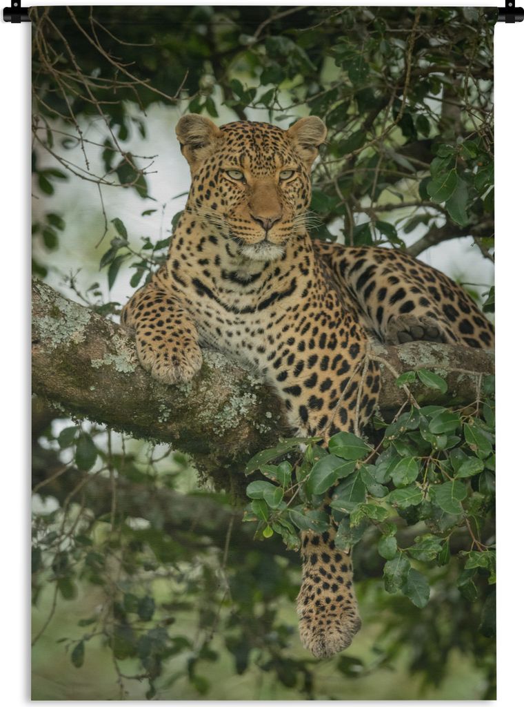 MuchoWow Wandteppich Wandbehang Panther - Baum - Wilde Tiere 60x90 cm Tapisserie Dekoration Wandtuch - Foto-Teppich - Abwaschbar