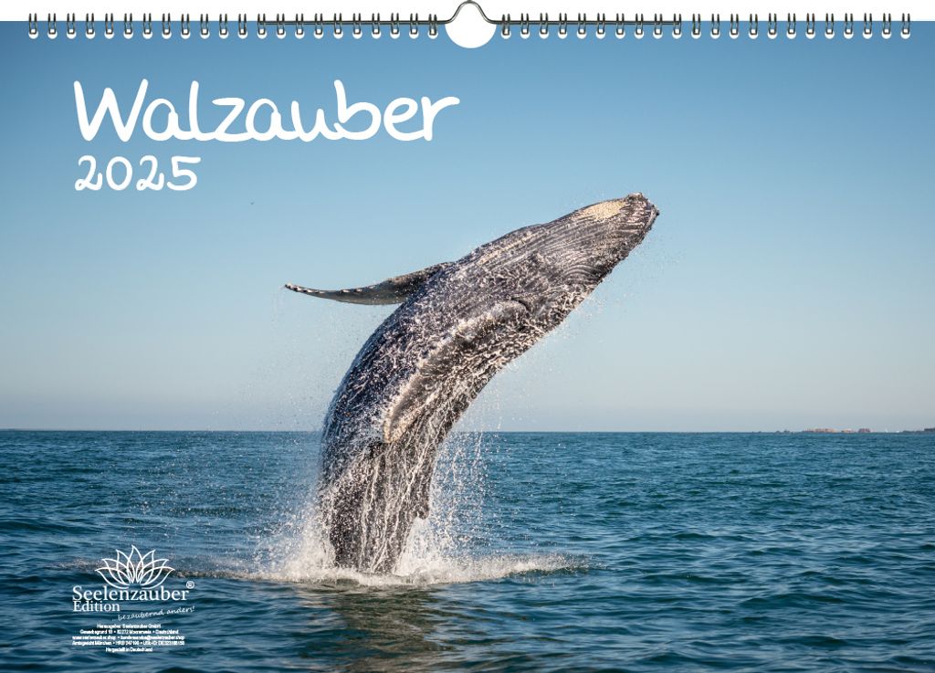 Walzauber DIN A3 Kalender für 2025 Wal - Seelenzauber