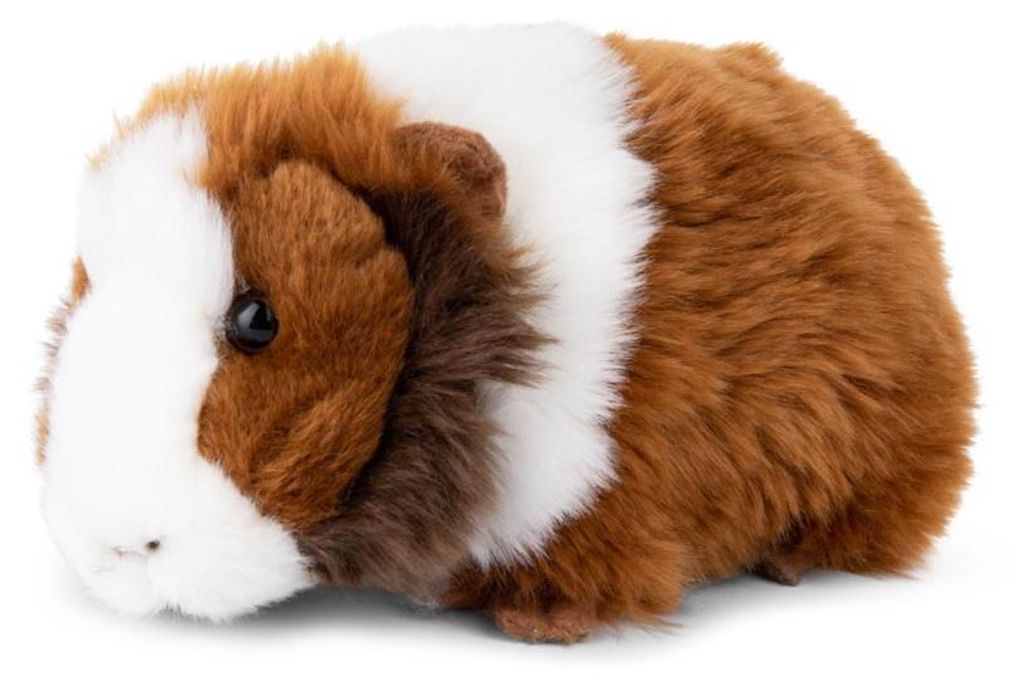 WWF - Peluche - Cochon d'Inde (19cm, brun) réaliste Peluche Image du produit 