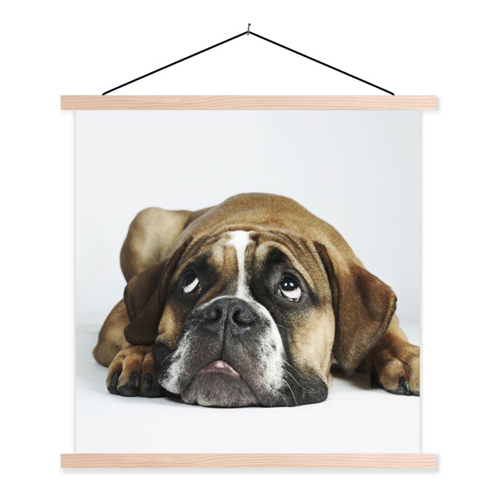 MuchoWow Textilposter Hund - Haustiere - Weiß 120x120 cm mit holzfarbenen Rahmen - Textil-Poster