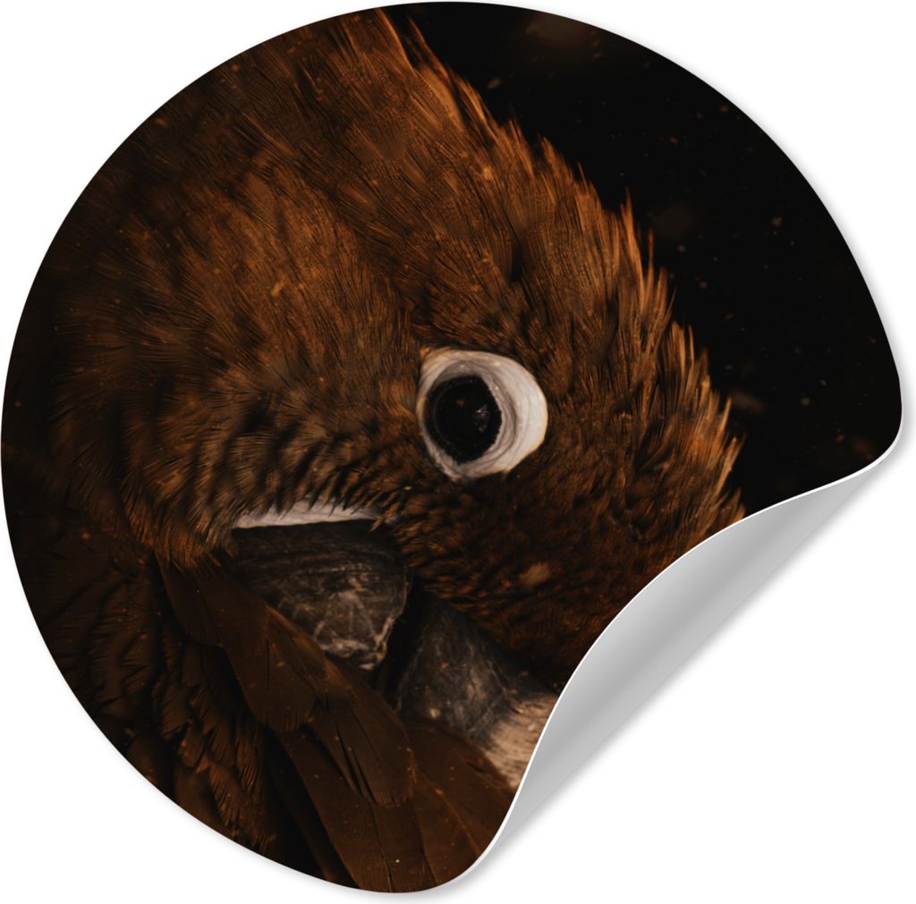 MuchoWow - Mauerkreis - Wand Bilder - Wandsticker - Wohnzimmer Dekoration - Dekoration für die Wände - Aluminium - Babyzimmer