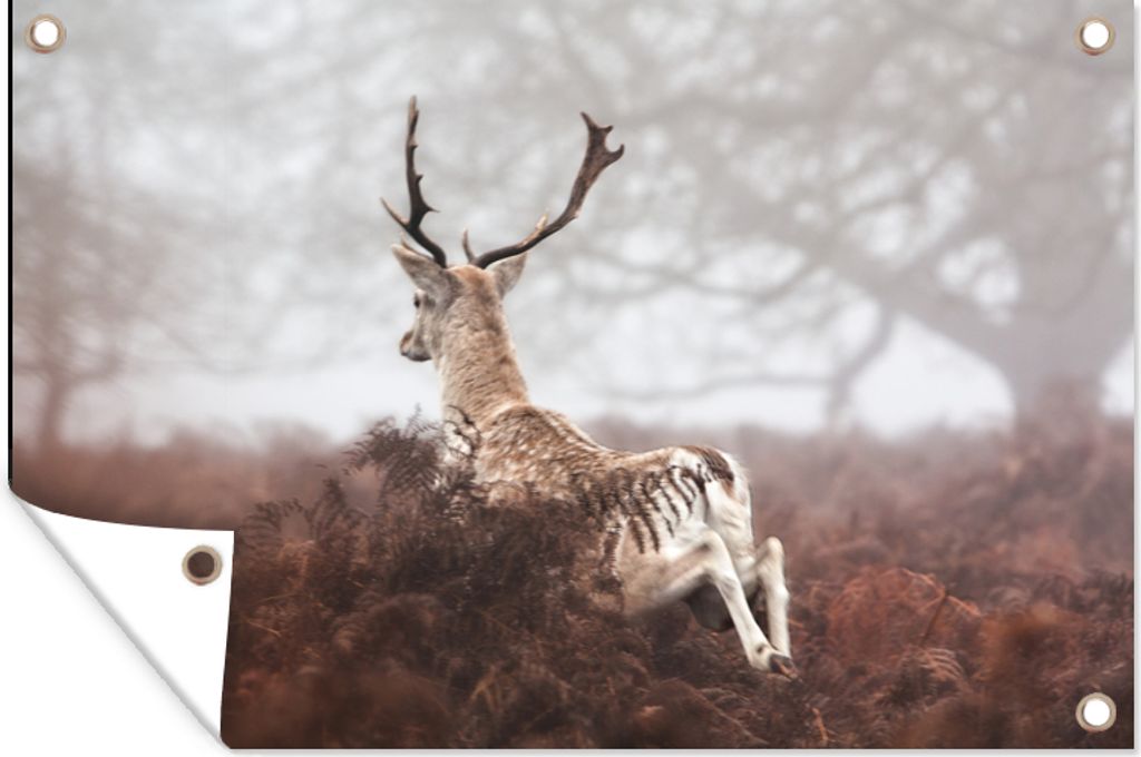 MuchoWow 60x40 cm Outdoor-Poster Gartendeko Sichtschutz Garten Poster für den Garten Rehe - Nebel - Pflanzen