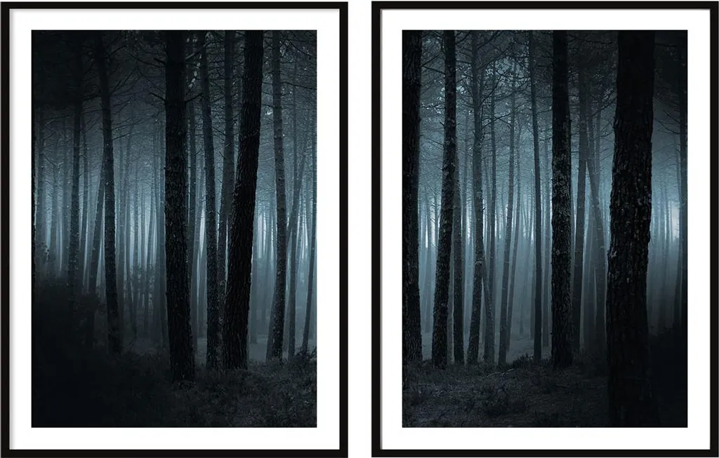 Décoration Murale Salon Forêt Interdite P290 - Lot de 2 Cadres 53x73cm