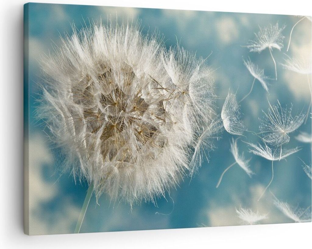 Bild auf Leinwand - Leinwandbild - Baby Sommer Pflanze - 70x50cm - Wand Bild - Wanddeko - Wandbilder - Leinwanddruck - Bilder - Kunstdruck - Wandde...