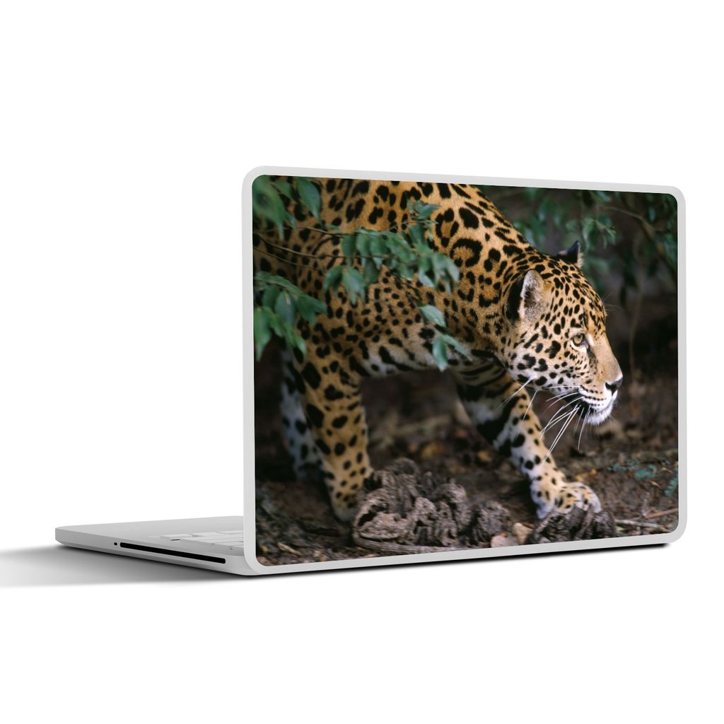 MuchoWow Laptop Aufkleber Sticker Cover Schleichender Jaguar im Wald 40x30 cm - Laptop Dekoration - Selbstklebend