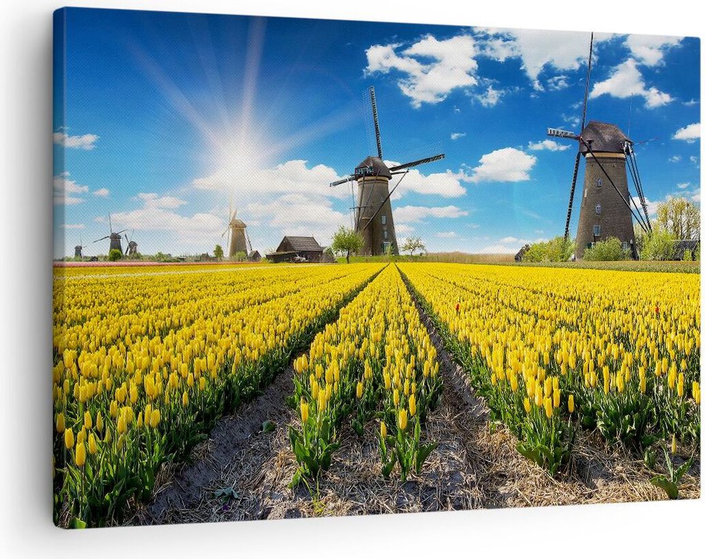 Bild auf Leinwand - Leinwandbild - Tulpen Windmühle Wiese Landschaft - 70x50cm - Wand Bild - Wanddeko - Leinwanddruck - Bilder - Kunstdruck - Lein...