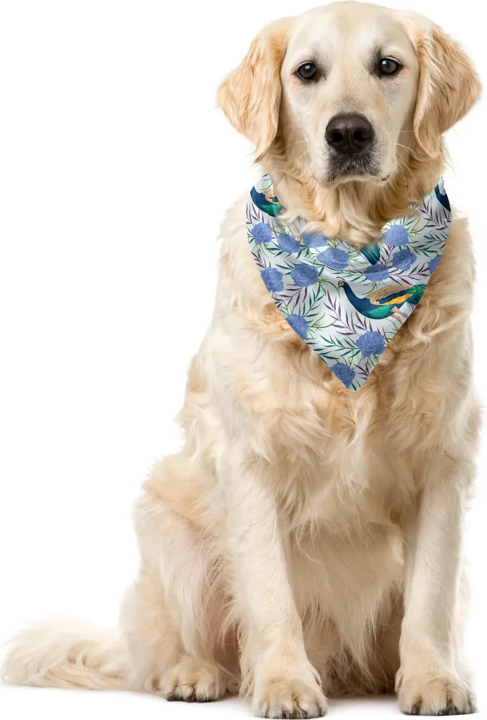 ABAKUHAUS Bandana Cani/Gatti 55cm | Pavone Vintage Multicolore