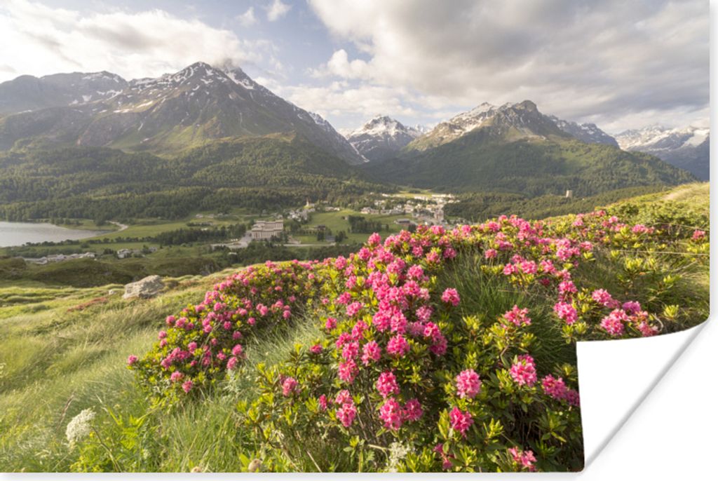 MuchoWow Poster Blumenwiese - Berge - Rosa 30x20 cm - Plakate - Print