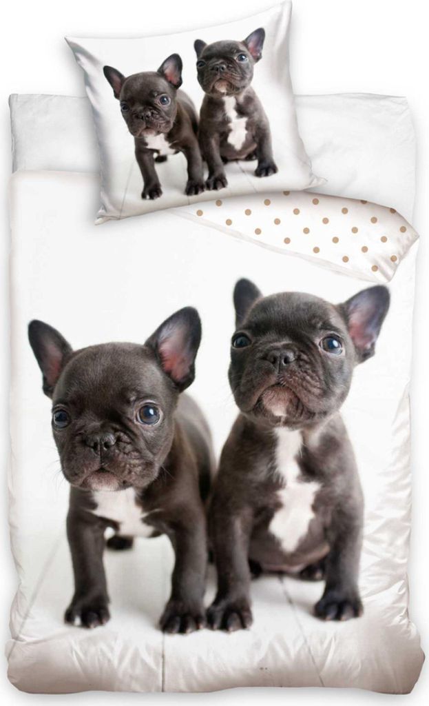 Two French bulldog puppies on a white background, with a pillow and part of a duvet cover also featuring French bulldogs and polka dots.