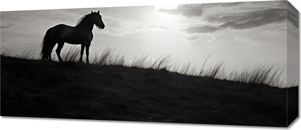 Bild 70x30cm Mondwache